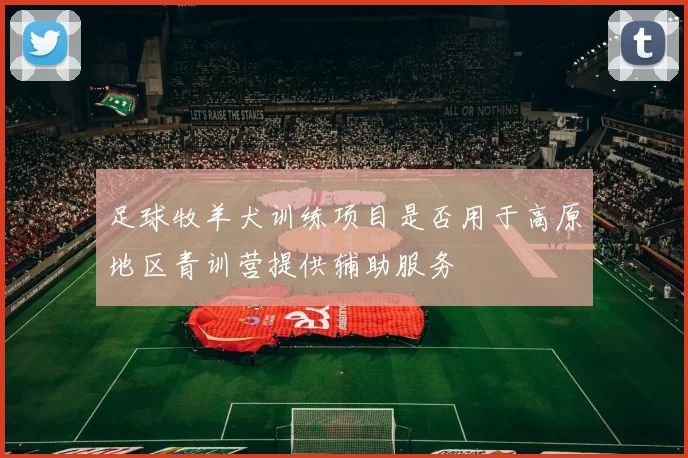 足球牧羊犬训练项目是否用于高原地区青训营提供辅助服务