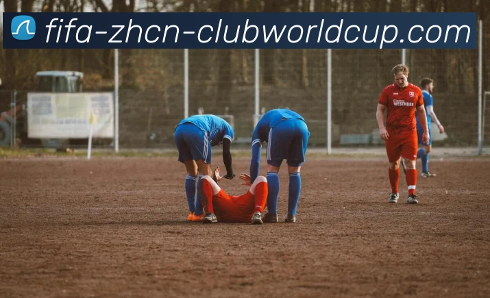 世界杯买球服务体系